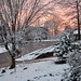 Anne Albright Photo 34