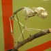 Lori Bone Photo 6
