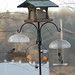 Scott Conover Photo 10