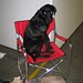 Betty Kerns Photo 17