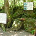 Shin Fujiyama Photo 10