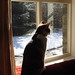 Marsha Snow Photo 10