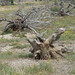 Teresa Stump Photo 15