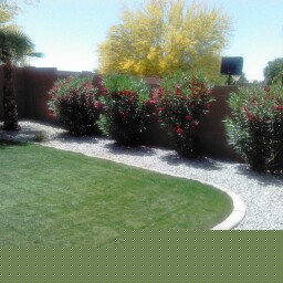 Alma Robinson Photo 7