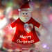 Merry Lawrence Photo 8