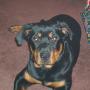 John Vanderpool Photo 32