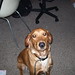 Deanna Ham Photo 14