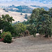 John Ridge Photo 34