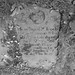 Mary Bourke Photo 13