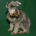Martha Foster Photo 48