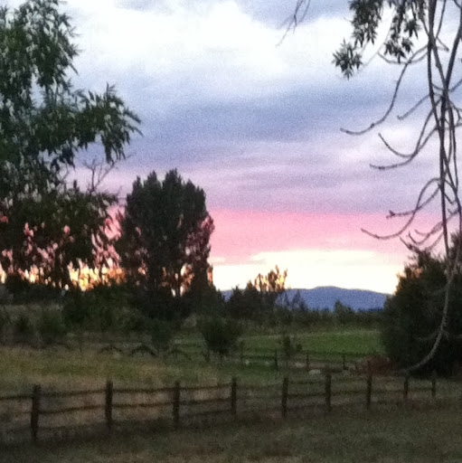 Sue Gordon Photo 29