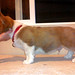 Roy Stack Photo 8