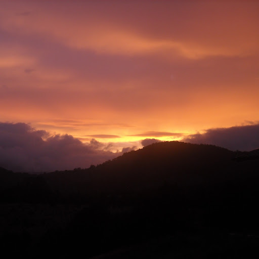 Mary Pickens Photo 30