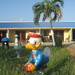 Donald Spring Photo 10