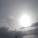 Alfred Roush Photo 8