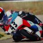 Thomas Varga Photo 24