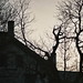 Thomas Hill Photo 37