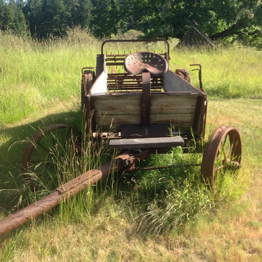 Sharon Rasmussen Photo 18