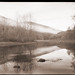 Misty Albright Photo 5