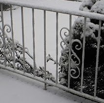 Marcia Chambers Photo 29