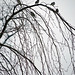Jackie Olmstead Photo 13