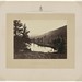 Timothy Wheeler Photo 16