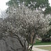 Lam Thach Photo 16