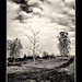 Scott Neumann Photo 22