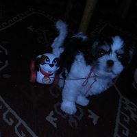 Bonnie Robbins Photo 10