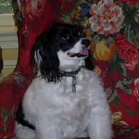 Colleen Mcelligott Photo 2