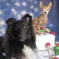Deborah Pritchett Photo 7