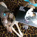 Diane Gabriel Photo 28
