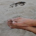 David Laing Photo 43