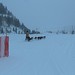 Debra Giese Photo 16