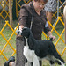 Shelly Springer Photo 8