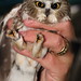 Russell Gifford Photo 10