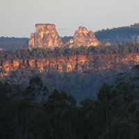 Wendy Farnsworth Photo 17