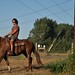 Desiree Meadows Photo 18