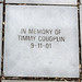 Timothy Fitzgerald Photo 18