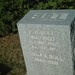 Julia Winfield Photo 7