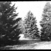 Douglas Sargent Photo 6