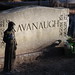 Mark Kavanaugh Photo 16