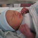 Joseph Landon Photo 26
