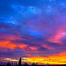 Sun Lim Photo 14