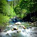 Patrick Kerby Photo 11