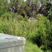 Jefferson Jean Photo 6