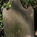 John Wilcox Photo 11