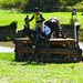 Susan Beebee Photo 6