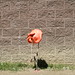 August May Photo 7