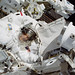 David Wolf Photo 44
